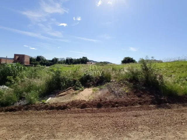 Terreno, foto 2