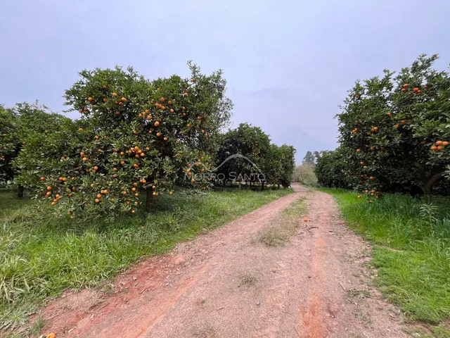 Área rural, foto 5