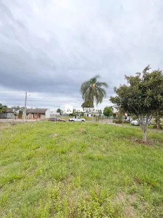 Paisagem externa com grama verde e árvores sob um céu nublado.