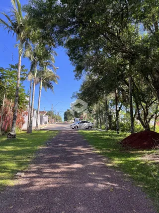 Vista de uma rua arborizada com gramado e árvores em Lajeado.