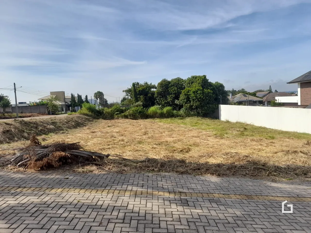 Vista de um terreno com vegetação seca e árvores ao fundo.