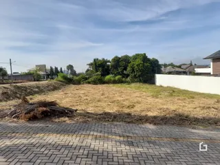 Vista de um terreno com vegetação seca e árvores ao fundo.