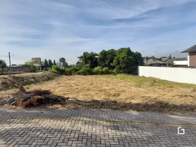 Vista de um terreno com vegetação seca e árvores ao fundo.