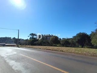 Vista da rua e vegetação ao lado de uma propriedade em Lajeado.