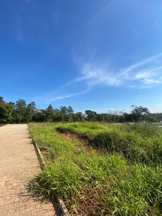 Terreno, foto 7