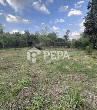 Área rural, foto 5