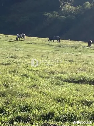 Área rural, foto 6