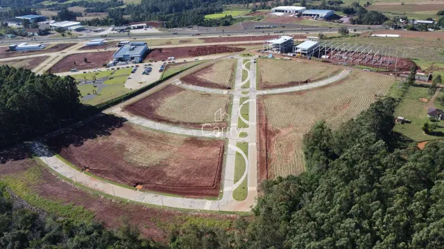 Terreno
