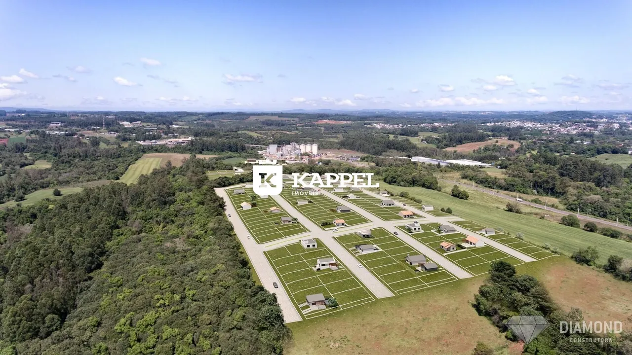 Vista aérea de um loteamento com várias casas em uma área rural.