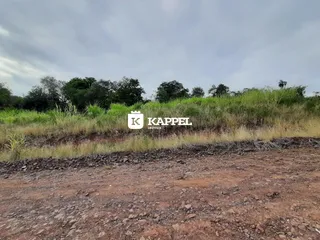 Vista de uma área de terra com vegetação alta e árvores ao fundo.