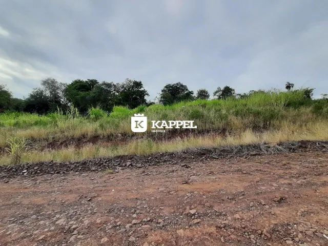 Vista de uma área de terra com vegetação alta e árvores ao fundo.