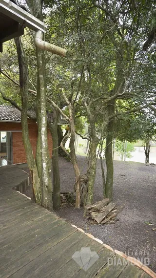 Área rural, foto 30