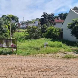 Vista externa mostrando grama alta e um caminho de tijolos em uma propriedade.