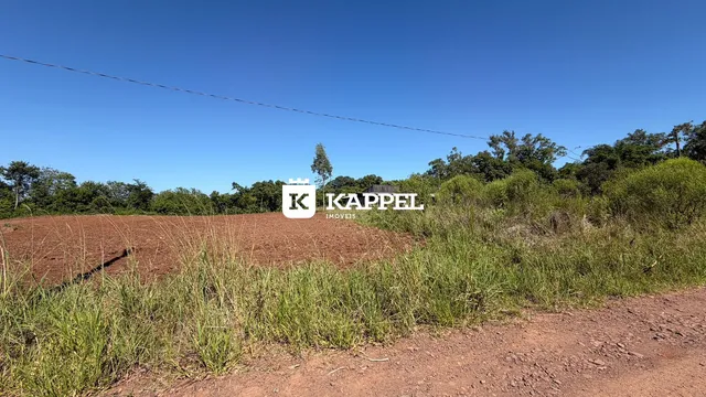 Vista de um terreno com vegetação seca e solo avermelhado.