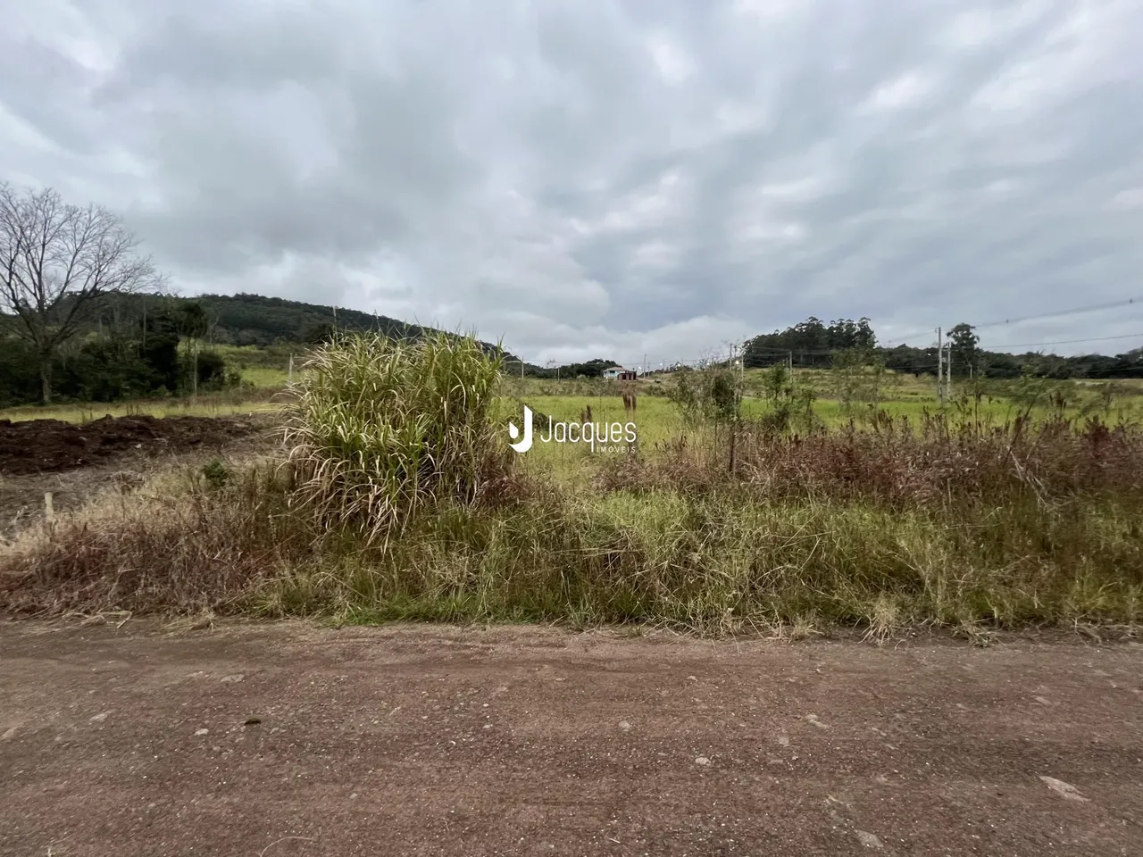 Terreno, foto 1