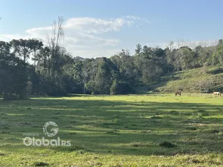 Campo verde com vegetação e árvores ao fundo.