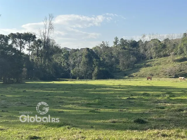 Campo verde com vegetação e árvores ao fundo.