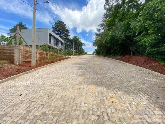 Terreno, foto 3