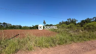 Paisagem de campo seco com vegetação alta sob um céu azul.