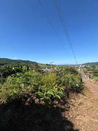 Área rural, foto 3