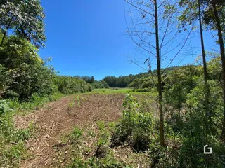Paisagem rural com vegetação densa e campo aberto sob um céu azul.