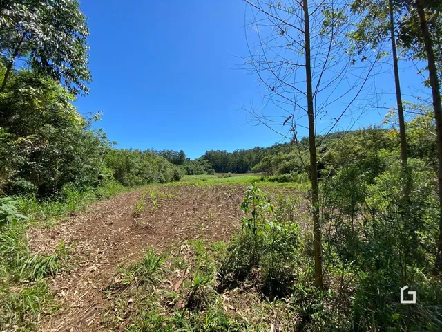 Paisagem rural com vegetação densa e campo aberto sob um céu azul.