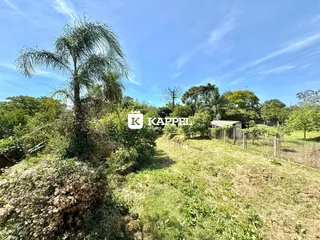 Vista externa de uma área verde com vegetação densa e um campo gramado.