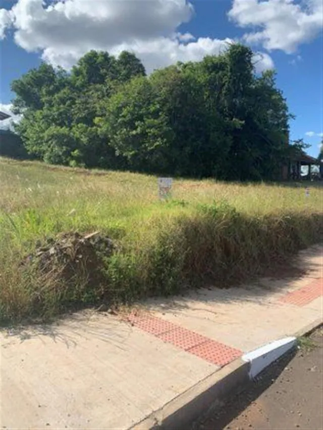 Terreno, foto 2
