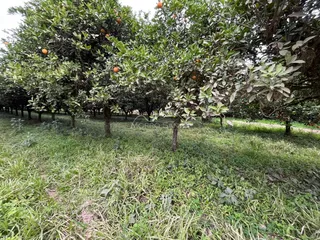 Área rural, foto 4