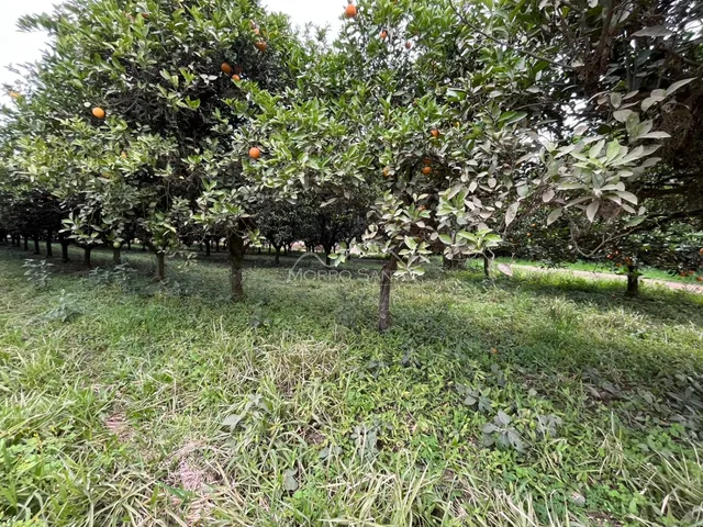 Área rural, foto 4