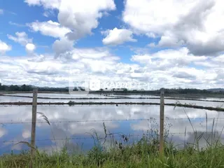 Vista panorâmica de campos abertos sob um céu parcialmente nublado.