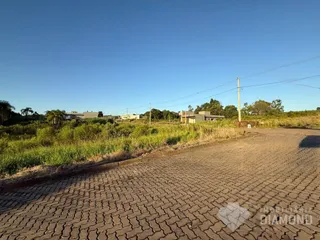 Terreno, foto 9