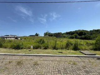 Uma vista externa mostrando um campo verde e vegetação densa ao ar livre.