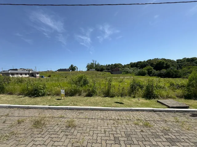 Uma vista externa mostrando um campo verde e vegetação densa ao ar livre.