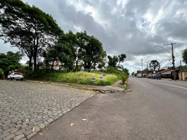 Terreno