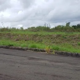 Vista de um campo aberto com vegetação alta sob um céu nublado.