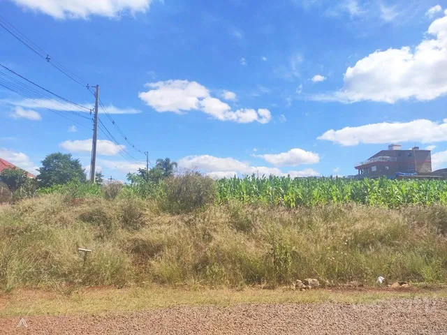 Terreno