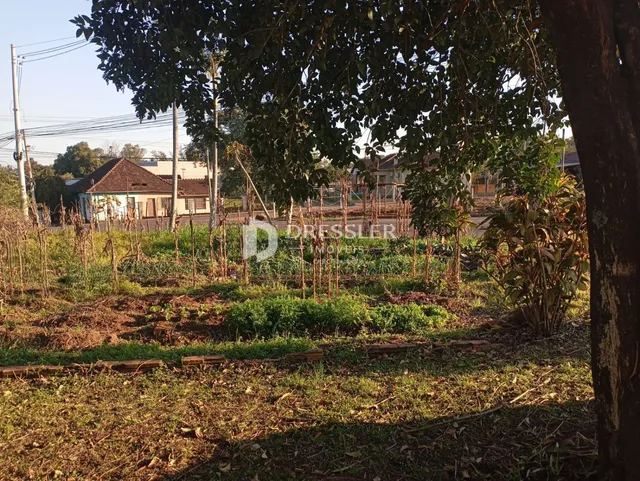 Terreno, foto 3