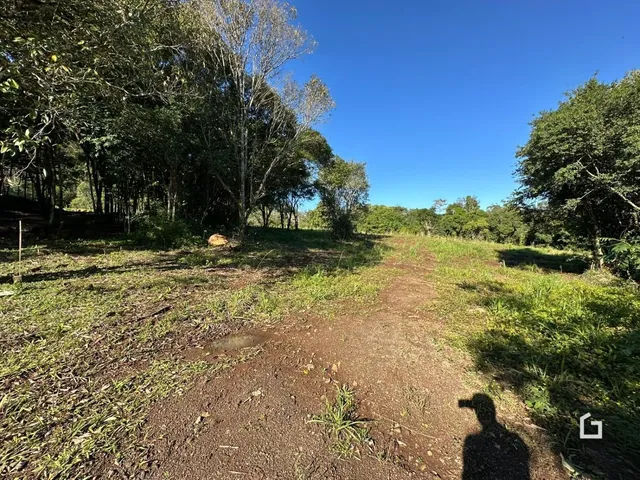 Uma trilha de terra atravessa uma área de vegetação densa sob um céu azul.