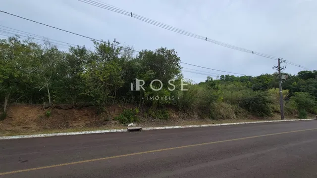 Vista da propriedade ao longo da estrada com vegetação densa ao fundo.