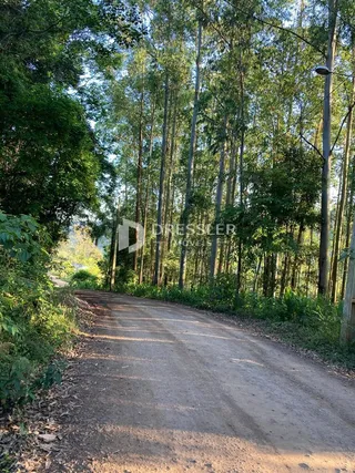 Área rural, foto 12