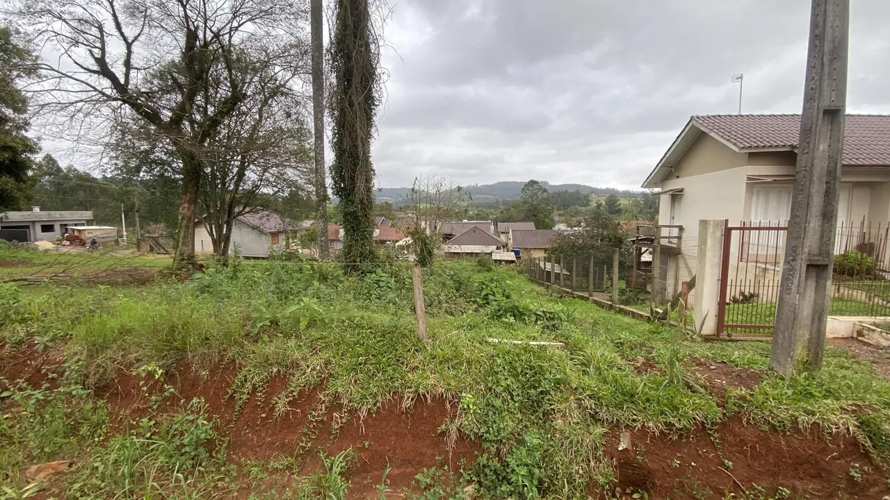Vista externa de um terreno com vegetação densa e solo avermelhado.