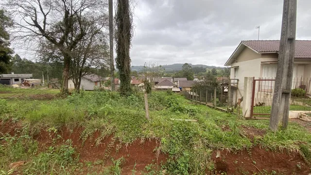Vista externa de um terreno com vegetação densa e solo avermelhado.