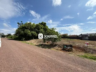 Vista externa de uma estrada de terra com vegetação densa ao fundo.