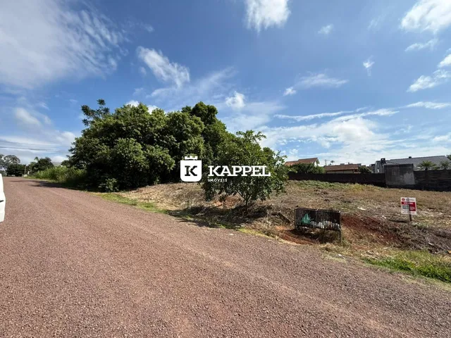 Vista externa de uma estrada de terra com vegetação densa ao fundo.