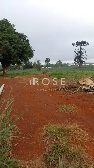 Área rural, foto 3