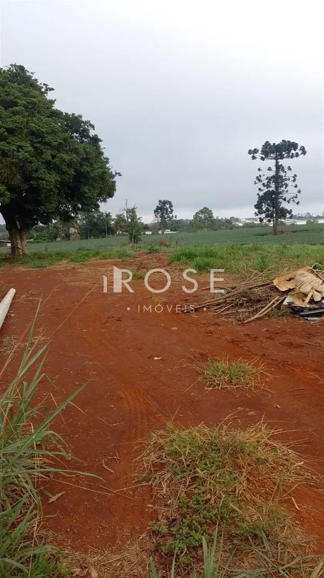 Área rural, foto 3
