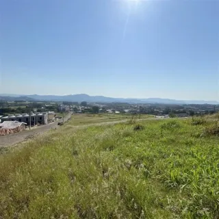 Vista de campo aberto com vegetação verde sob um céu azul.