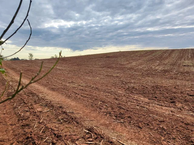 Terreno, foto 4