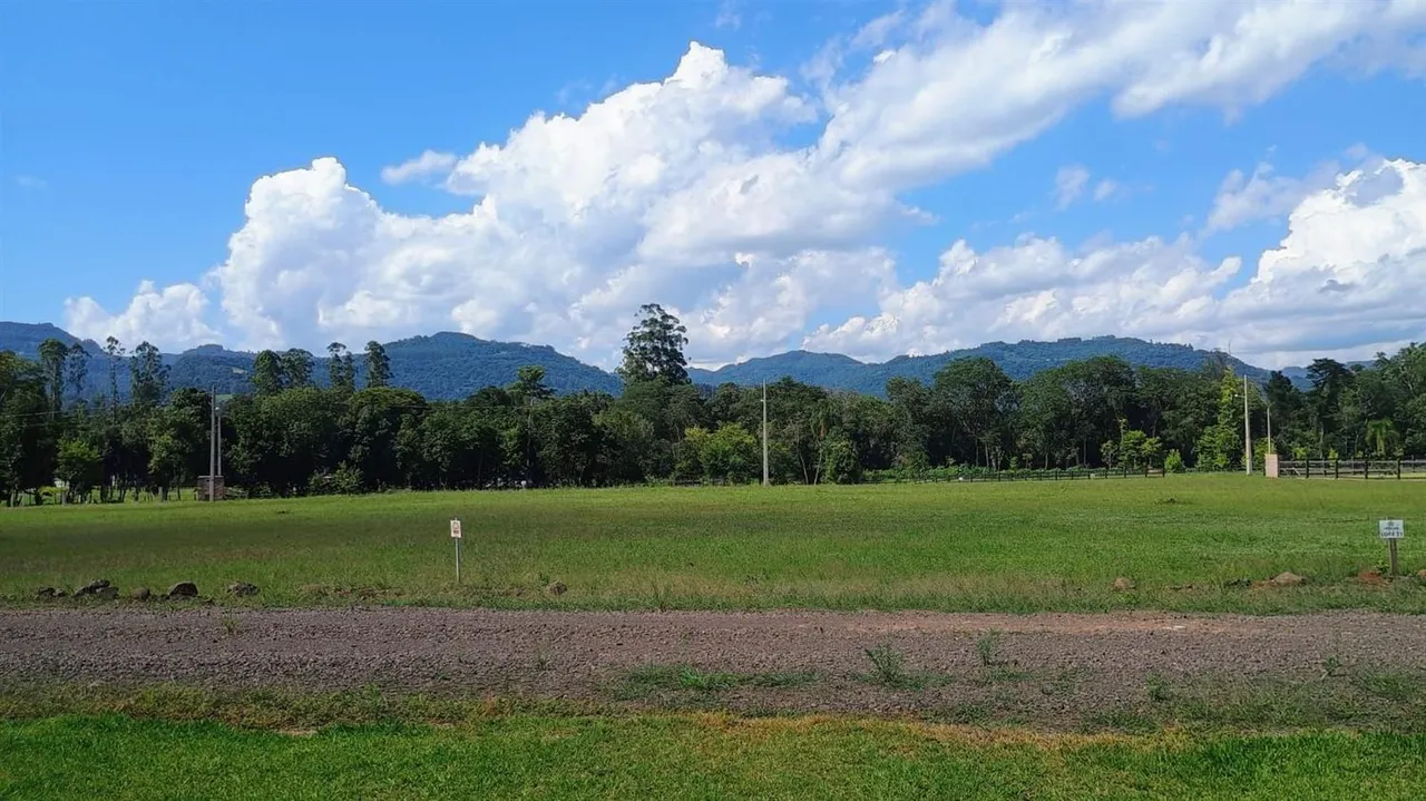 Terreno, foto 1